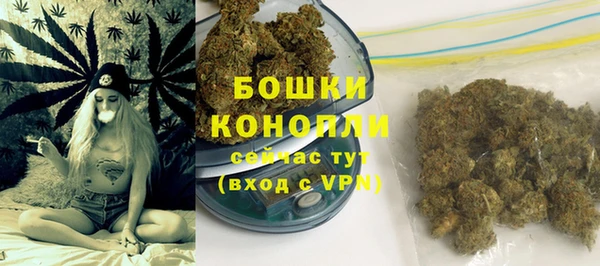 МДПВ Богородицк