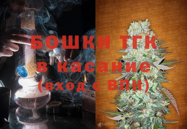 МДПВ Богородск